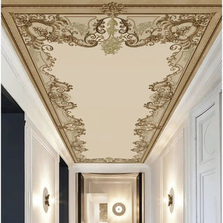 The Fifth Wall: Why You Should Stop Ignoring Your Ceiling