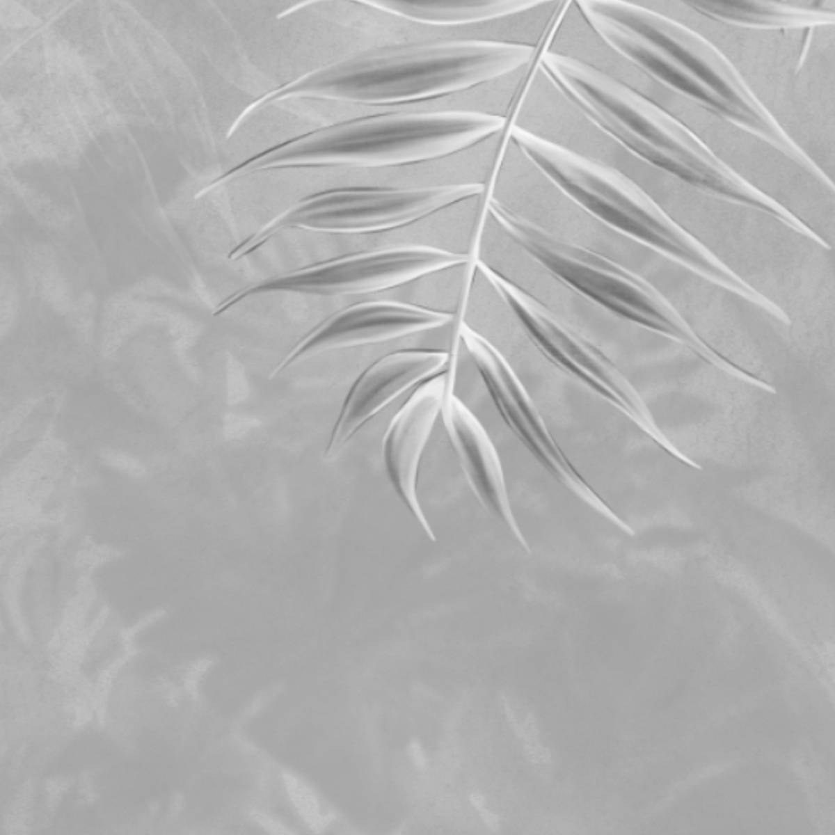 Misty Tropics Grey Tropical Leaf Wallpaper Customised