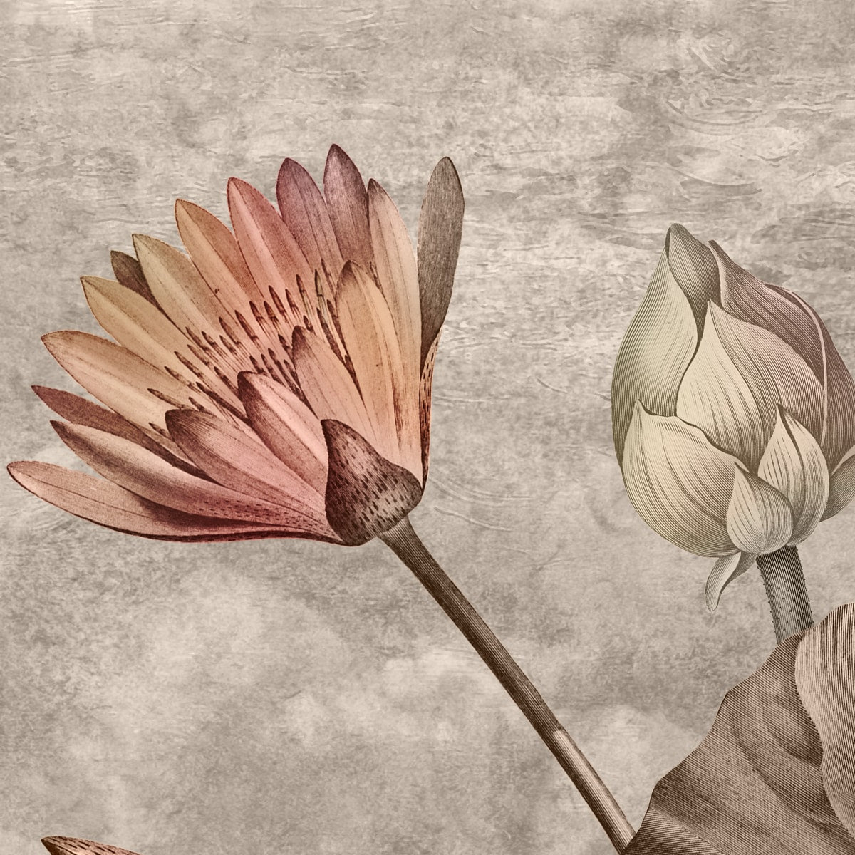 Big Lotus Leaves, Premium Indian Wallpaper Design, Customised