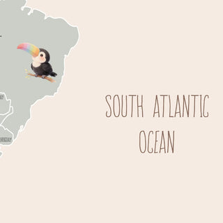 Pastel World Map Wall Size Kids Wallpaper