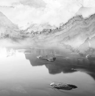 Marble Effect Scenery Wallpaper Customised Black & White