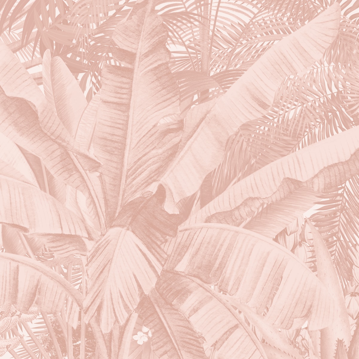 Palm Trees Wallpaper | Wallpaper Shop