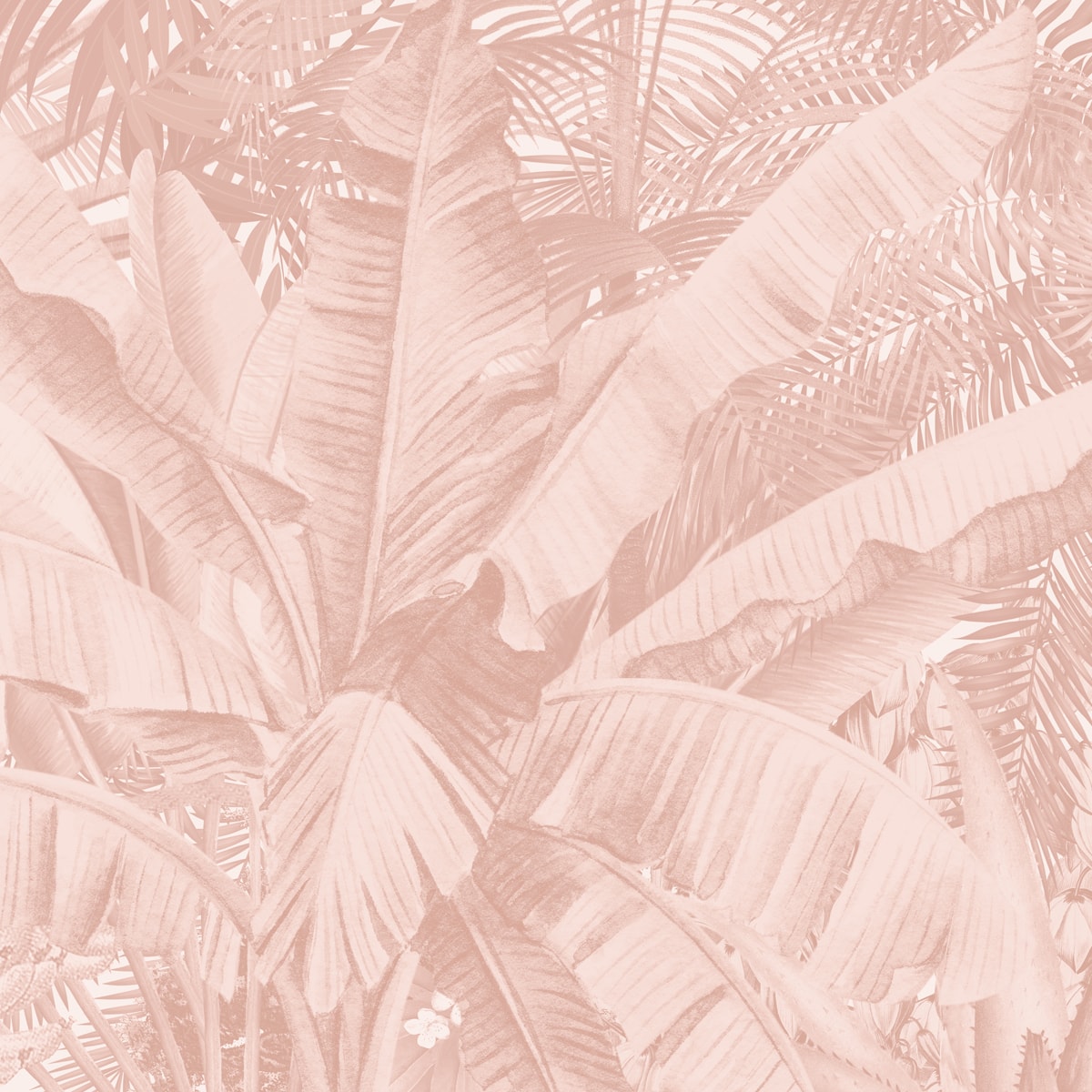 Tranquil Palms Tropical  wallpaper