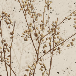 Dried Botanic Charm Wallpaper Customised for Walls