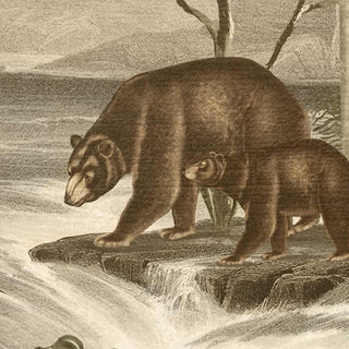 Anandvan, Jungle Theme Wallpaper, Customised, Sepia