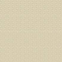 Tango Design Wallpaper Roll in Brown Color For Rooms