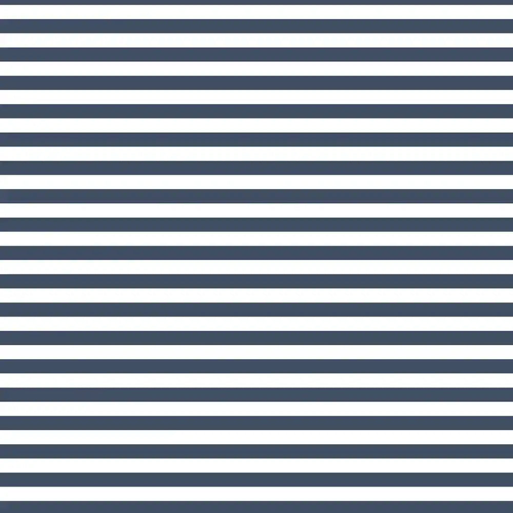 Harmonie Stripe Design Wallpaper Roll in  Blue and White Color for Rooms