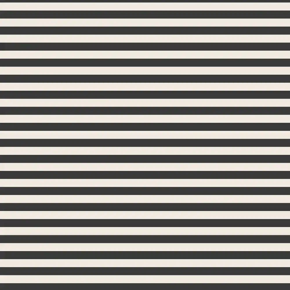 Buy Harmonie Stripe Design Wallpaper Roll in Black and Beige Color