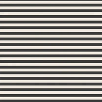 Buy Harmonie Stripe Design Wallpaper Roll in Black and Beige Color