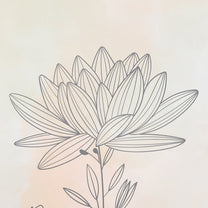 Blush & Bloom Line art Floral Wallpaper Customised