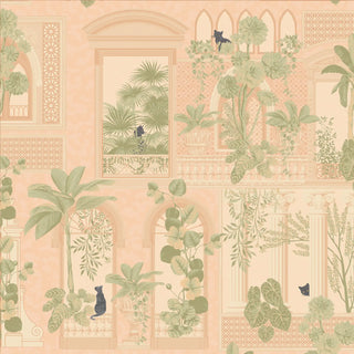 Shop Cattitude European Wallpaper Roll in Peach Color By Lifencolors