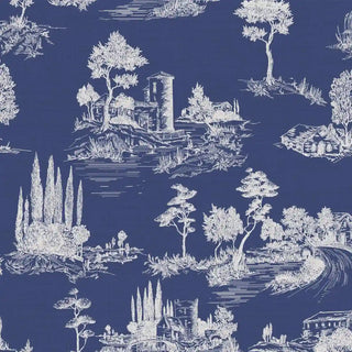 Chic Toile European Wallpaper Roll in Blue And White Color Buy Now