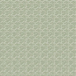 Echo Chinoserie Design Wallpaper Roll in Mint Green & white Buy Now