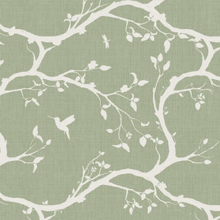 Buy Echo Chinoserie Design Wallpaper Roll in Mint Green & white By Lifencolors
