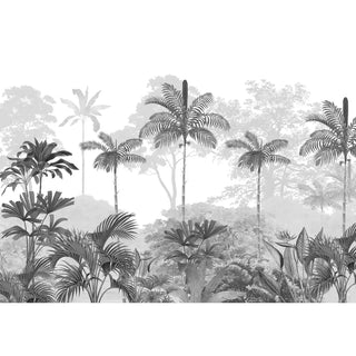 Black and white wallpaper of a tropical forest with palm trees.