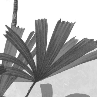 Close-up of a palm leaf with a white background