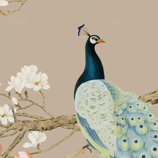 Peacock on a branch with white flowers against a beige wallpaper