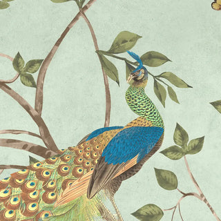 Colorful peacock wallpaper on a light green background with leaves