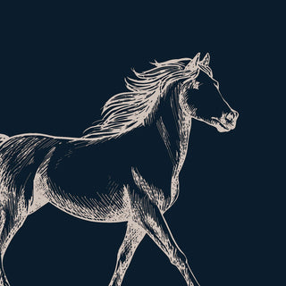 Stallion European Wallpaper Roll in Blue Color Buy Now