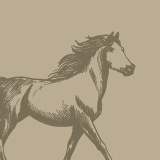Stallion European Wallpaper Roll in Sepia Color Buy Now