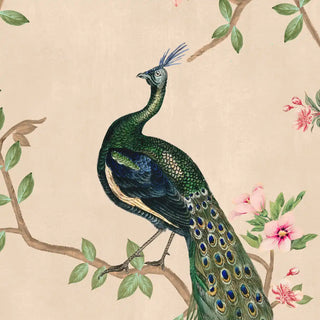 Wallpaper of a peacock on a floral branch with a beige background