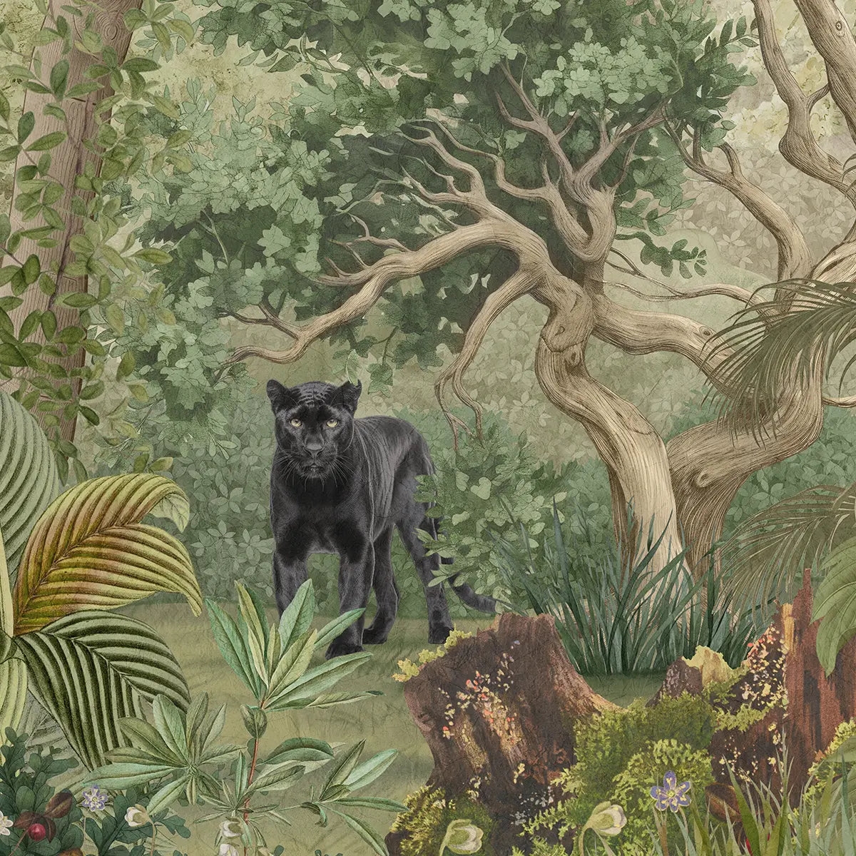 Mystic Canopy, Jungle Theme Wallpaper for Rooms