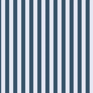 A detailed view of alternating bold blue and white vertical stripes in a timeless pattern.