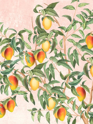 A close-up of the Gulbiya Chinoiserie wall art in Blush Pink showing clustered mango fruit and leaves against the blush background.