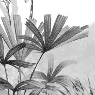 Close up of Kovalam monotone tropical wallpaper in grey showing the fine texture of fan palm fronds against a soft washed background