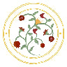 Life n Colors logo