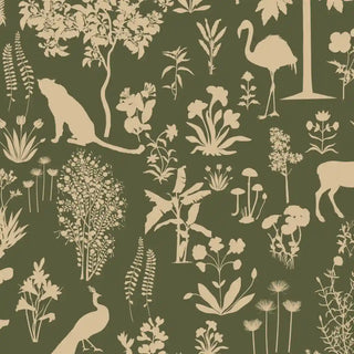 Flora n fauna Tropical Wallpaper Roll in Cream & Forest Green Buy Now