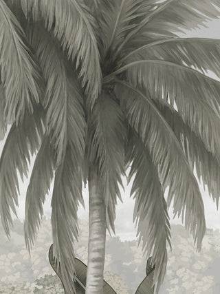 A close-up of The Malabar Wall Art in Mist-Grey showing the full coconut palm canopy in detail.