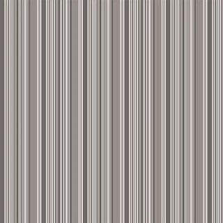 Full patterned view of Modern Grey Layered Stripe Wallpaper Roll showing alternating thick and fine stripes for a refined contemporary style.
