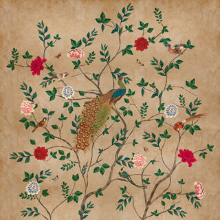 A close-up of the Pakhi Chinoiserie wallpaper, highlighting the intricate details of the peacock's feathers and the vibrant floral design.