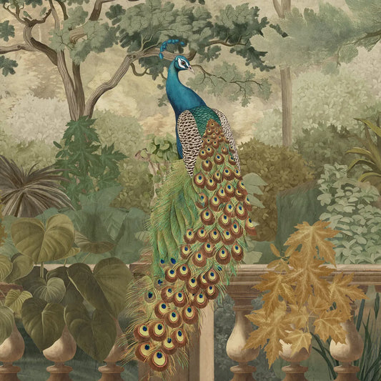 Closeup of Peacock Garden, Jungle Theme Wallpaper for Walls