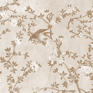 Close up detail of Rosa wallpaper showing the texture of the long-tailed bird and delicate floral blossoms.