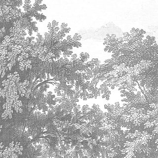 A detailed view of the Saanjh charcoal mural highlighting the ornate floral architectural arches.