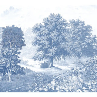 Blue and white illustration of a forest scene with trees and undergrowth.