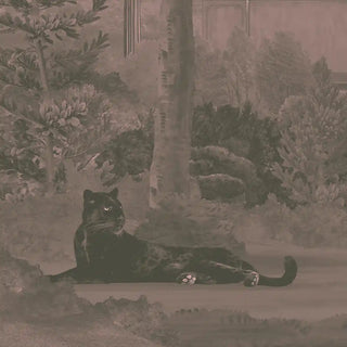 A close-up view of the wallpaper showing a black panther resting among palm trees and lush greenery.