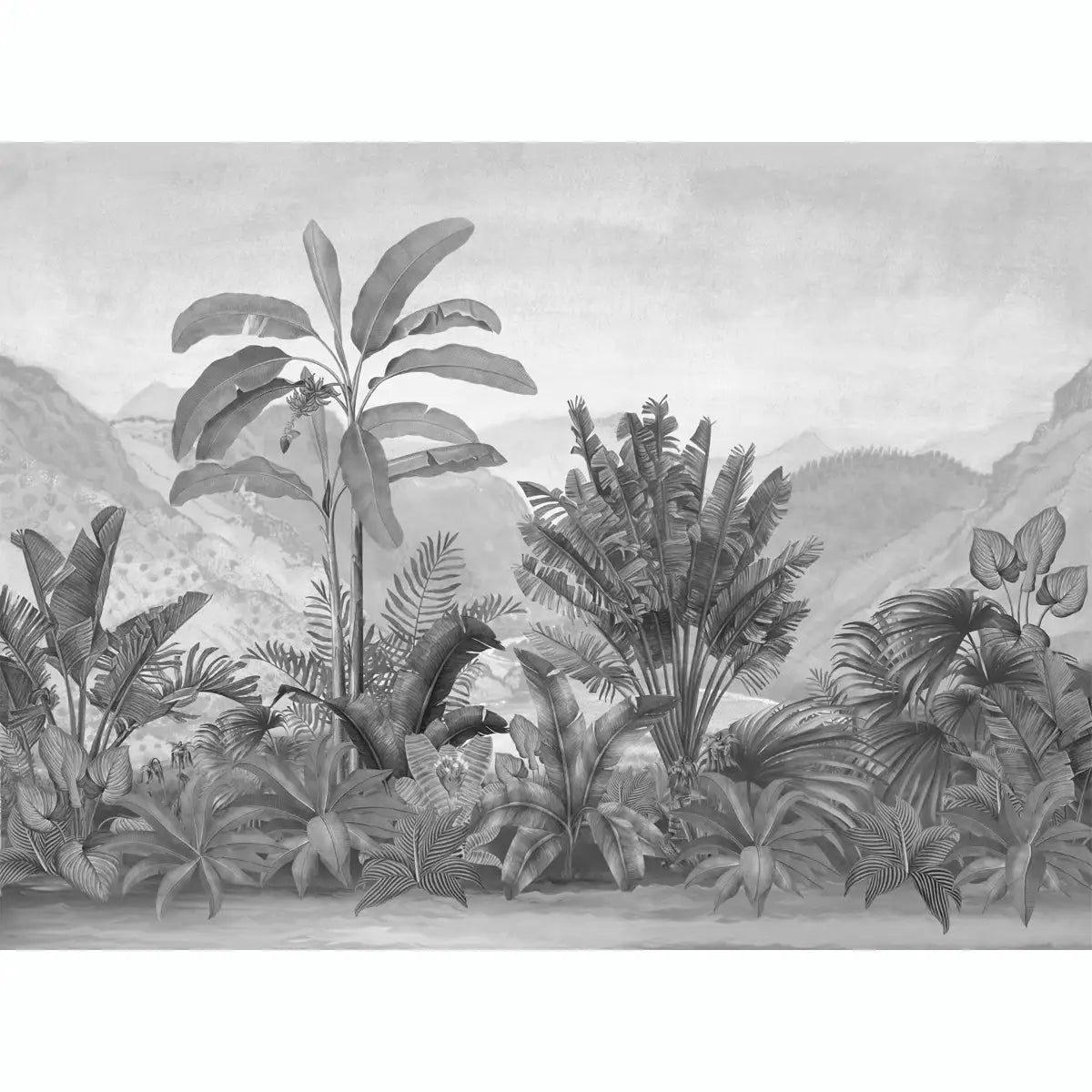 Vintage Theme Tropical Foliage Wallpaper, Black & White by Lifencolors