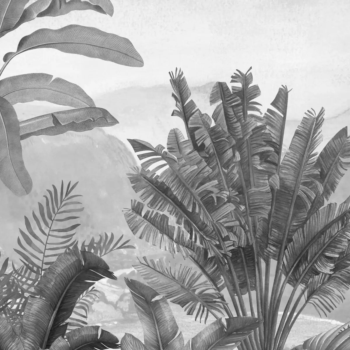 Closeup of Vintage Theme Tropical Foliage Wallpaper, Black & White