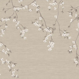 A full-pattern close-up of the Whispering Branches wallpaper showing trailing branches and white blossom clusters on a sepia ground.