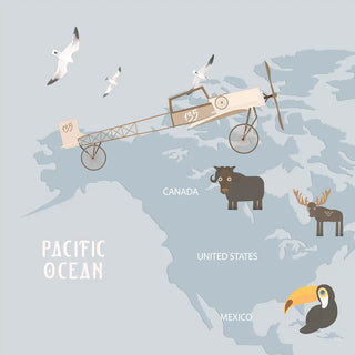 A macro close-up of the mural showing a vintage biplane flying over North America with a hand-painted moose and toucan.