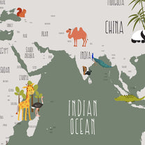 Green Color Worldmap Wallpaper for Kids Rooms, Customised