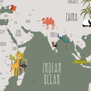 Green Color Worldmap Wallpaper for Kids Rooms, Customised