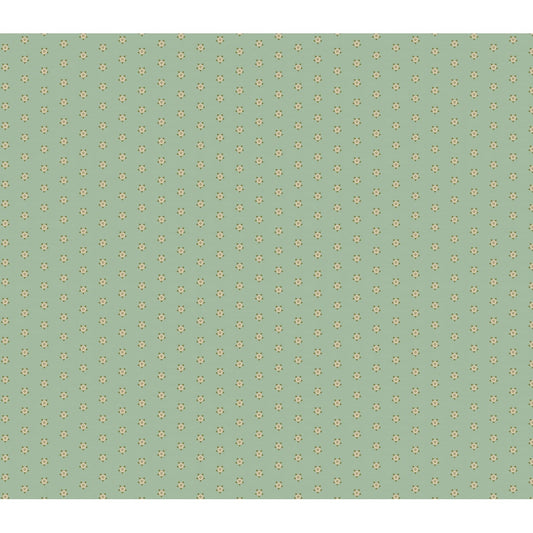 Classy Pista Green Colors Wallpaper for Rooms, Customised