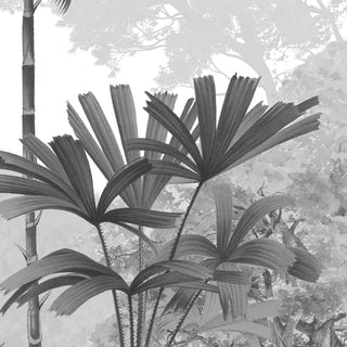 Kaira, Nature Theme Wallpaper for Rooms, Black & White, Customised. Closeup image