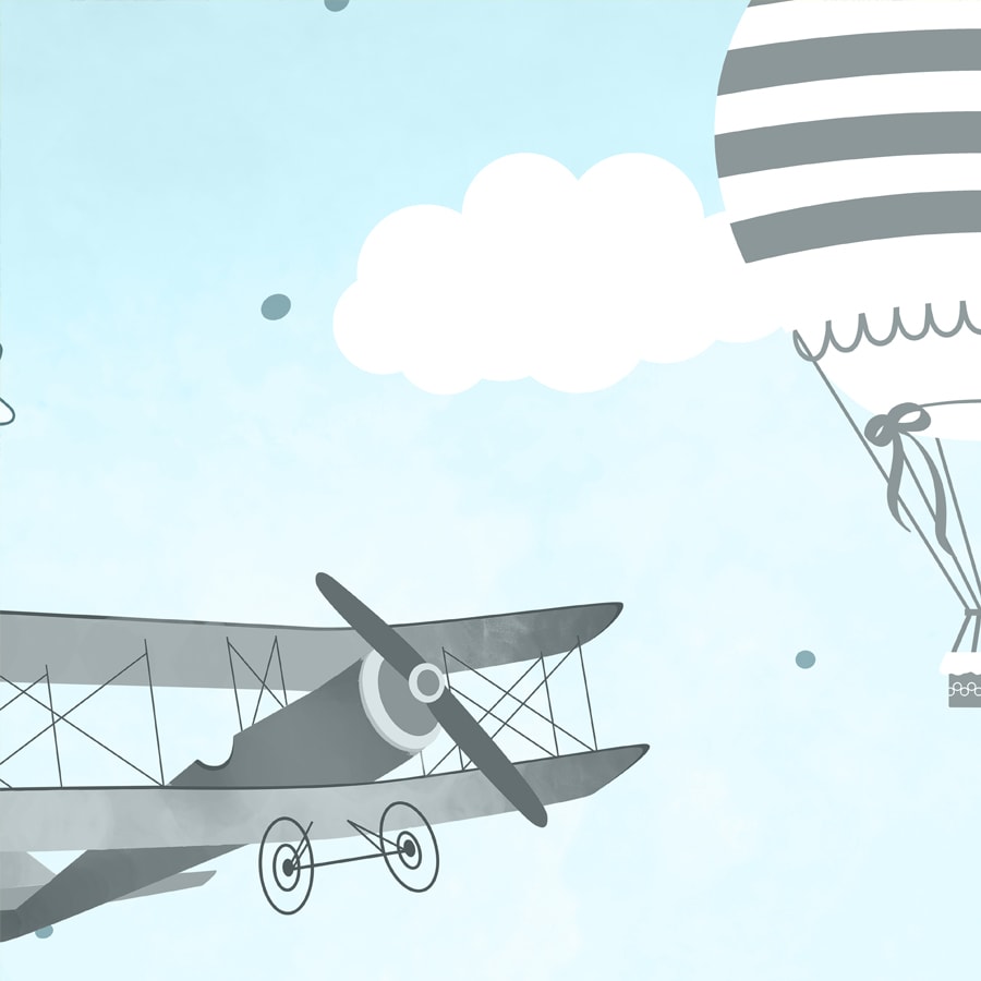 Gliders And Hot Air Balloons Wallpaper, Customised, Blue