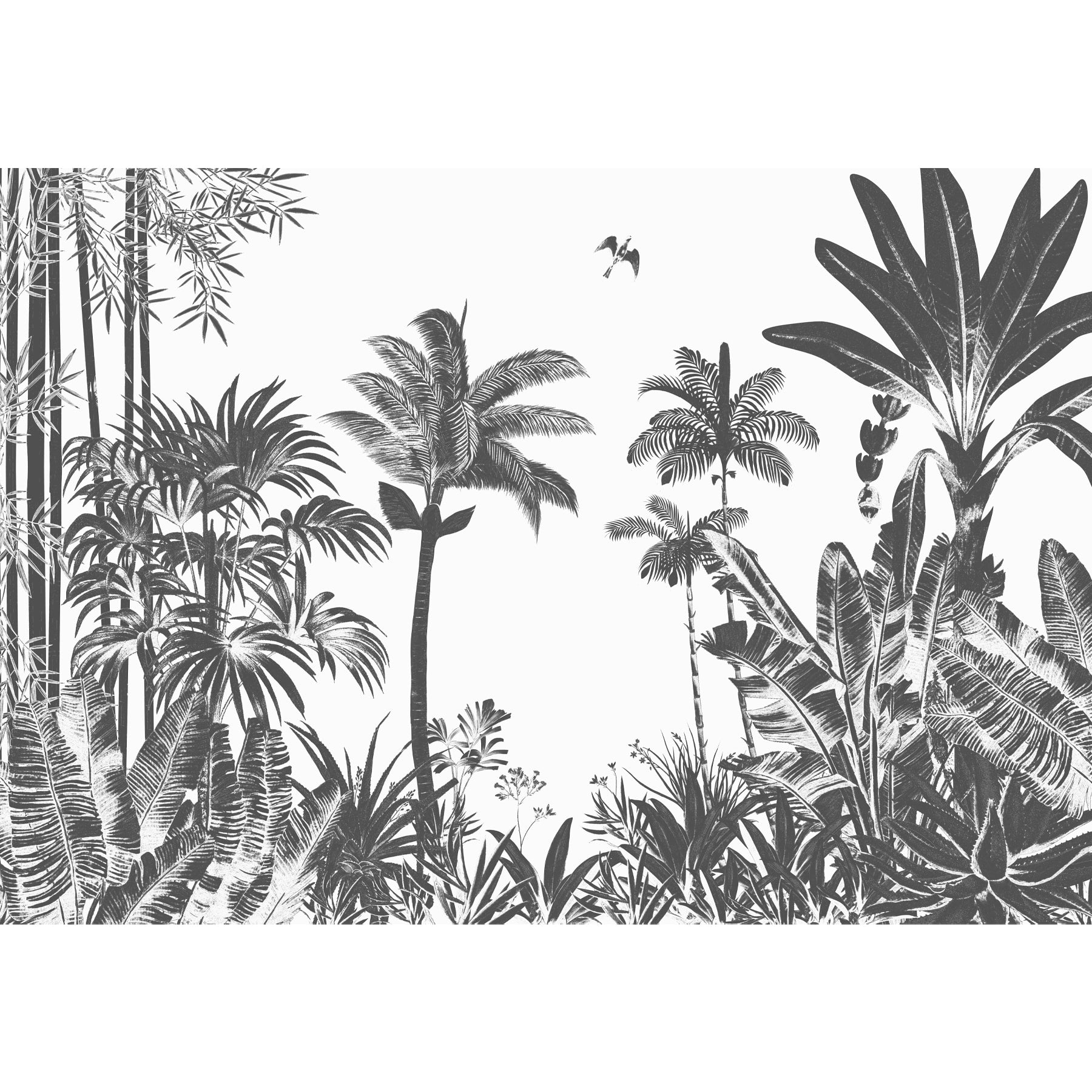 Tropical Monochrome, Room Wallpaper