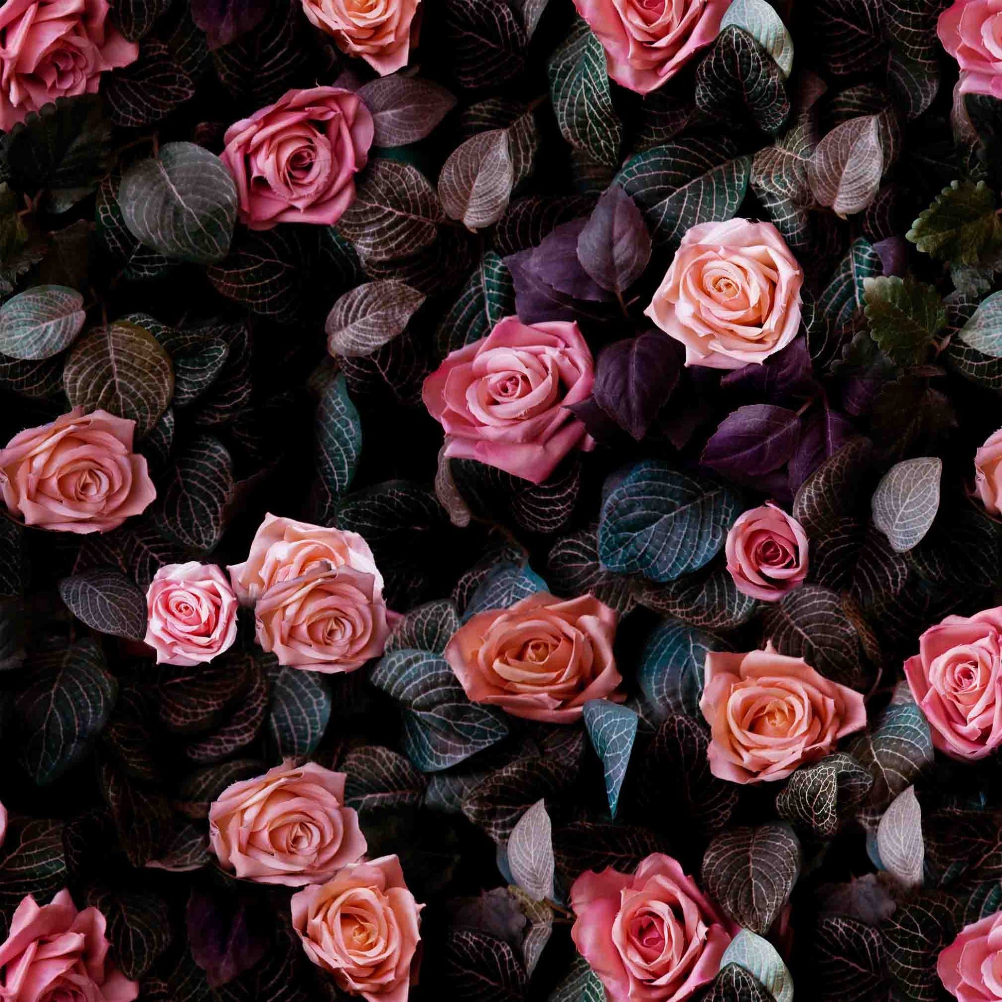 Repeat Pattern of Roses, Dark Background, Premium Realistic Wallpaper